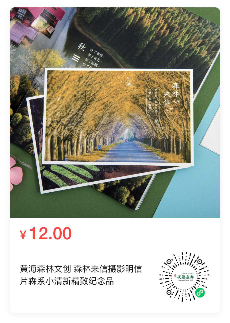 2明信片.jpg