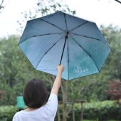 黄海森林文创  绿野仙境创意黑胶雨伞双层遮阳防紫外线折叠晴雨伞
